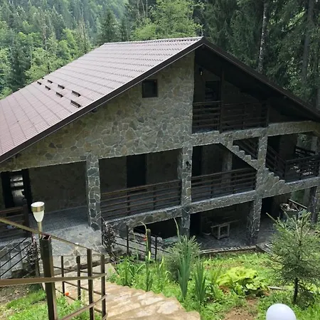 Zimbru Transfagarasan * Arefu