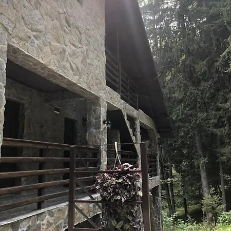 Lodge Zimbru Transfagarasan Arefu