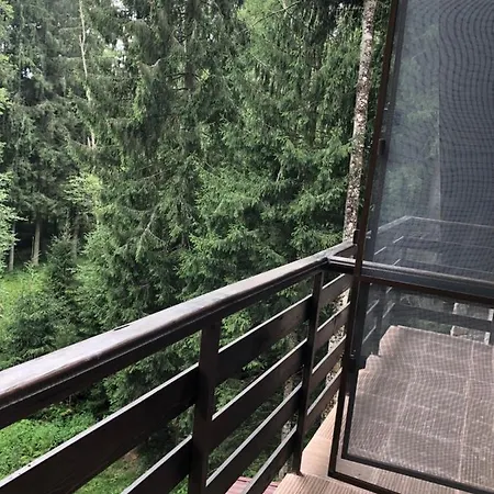 Lodge Zimbru Transfagarasan