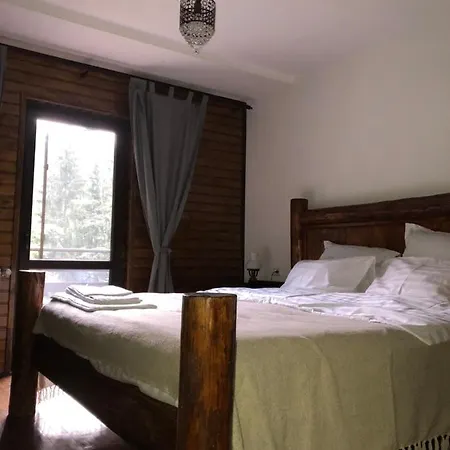Lodge Zimbru Transfagarasan Arefu