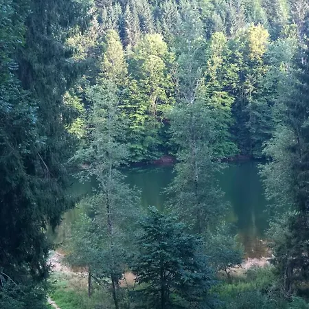 Zimbru Transfagarasan Lodge *