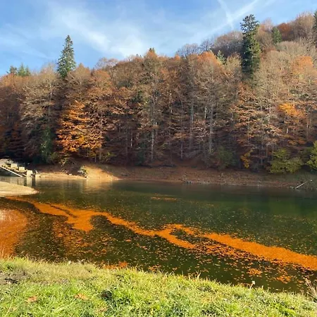 Zimbru Transfagarasan Arefu