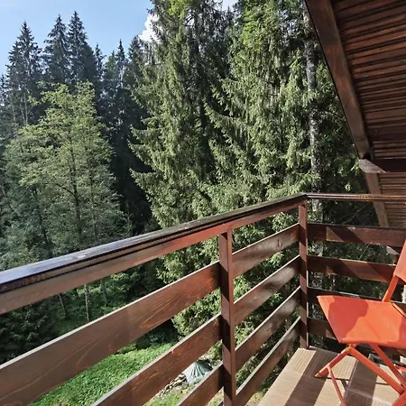 Zimbru Transfagarasan Lodge Arefu