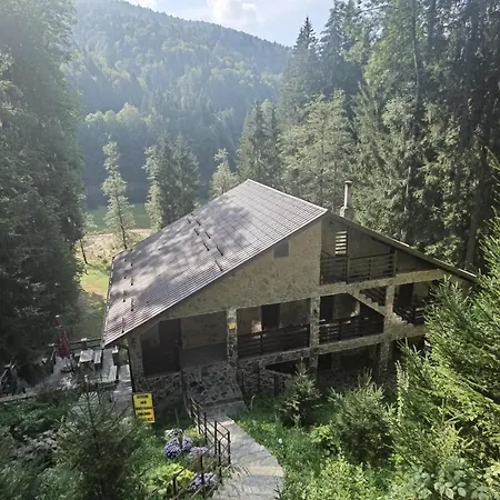 Zimbru Transfagarasan