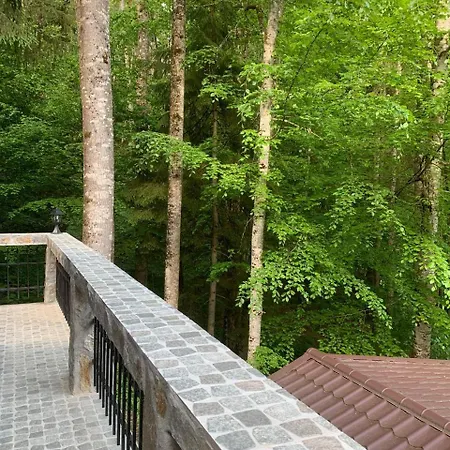 Lodge Zimbru Transfagarasan