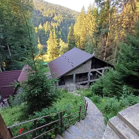 Zimbru Transfagarasan Arefu