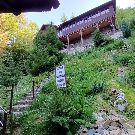 Zimbru Transfagarasan * Arefu