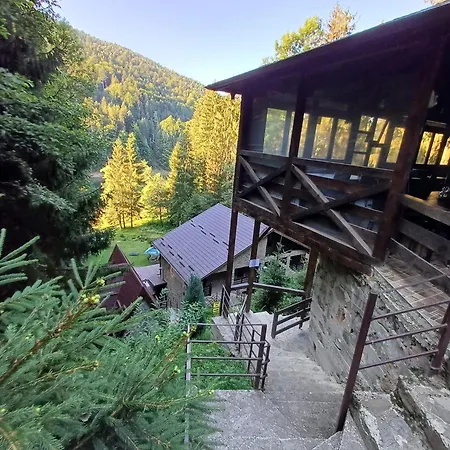 Zimbru Transfagarasan
